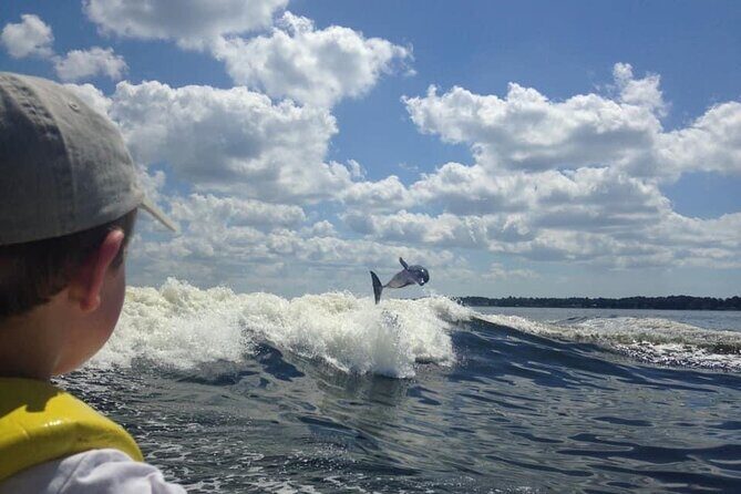 Dolphin Watching aboard the Cold Mil Fleet - Why You Should Consider This Tour