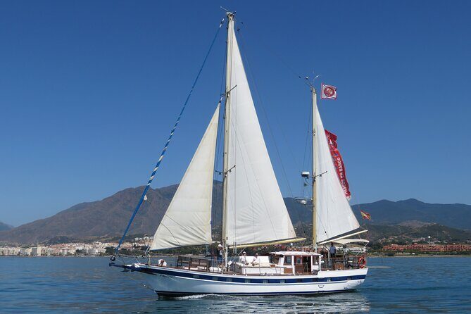 Dolphin Watching Adventure in Estepona Bay - The Value of the Experience