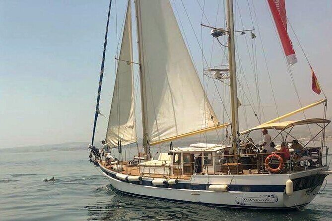 Dolphin Watching Adventure in Estepona Bay - FAQ
