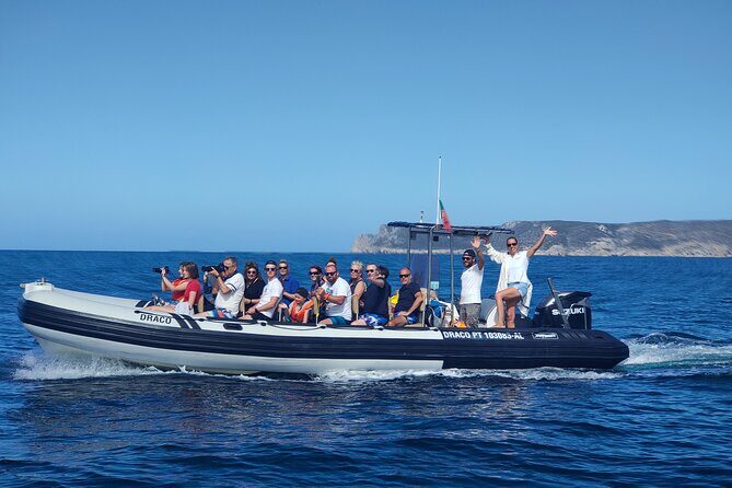 Dolphin Watching and Boat Tour in Sesimbra - Why This Tour Works for You