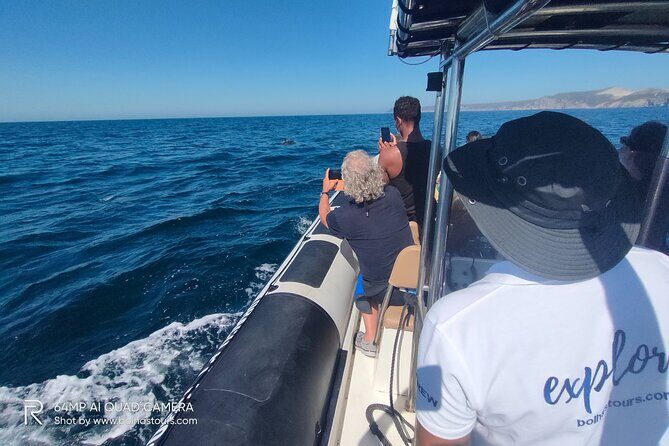 Dolphin Watching and Boat Tour in Sesimbra - Practical Tips for Your Dolphin Tour