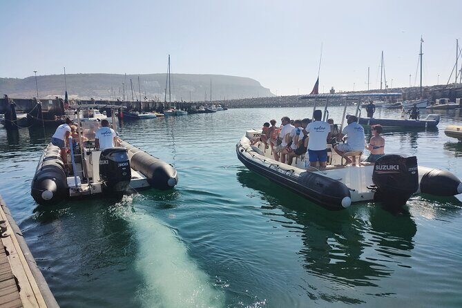 Dolphin Watching and Boat Tour in Sesimbra - FAQ