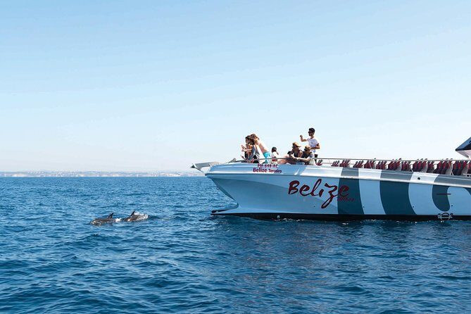 Dolphin Watching and Cave Boat Cruise from Albufeira - Key Points