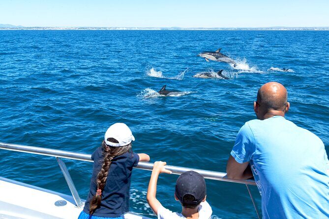 Dolphin Watching and Cave Boat Cruise from Albufeira - An In-Depth Look at the Tour Experience