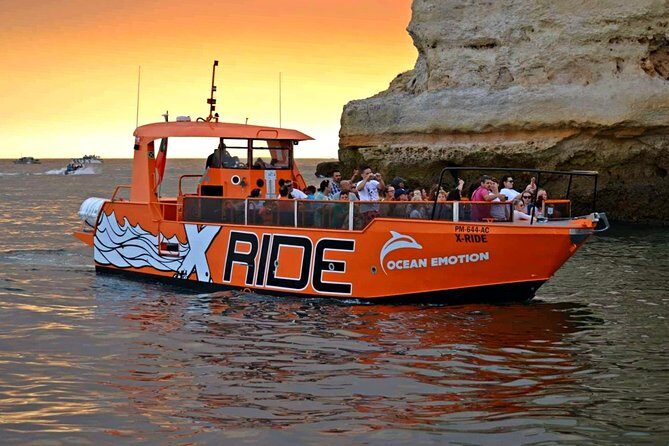 Dolphin Watching and Caves Cruise - Who Will Love This Tour?