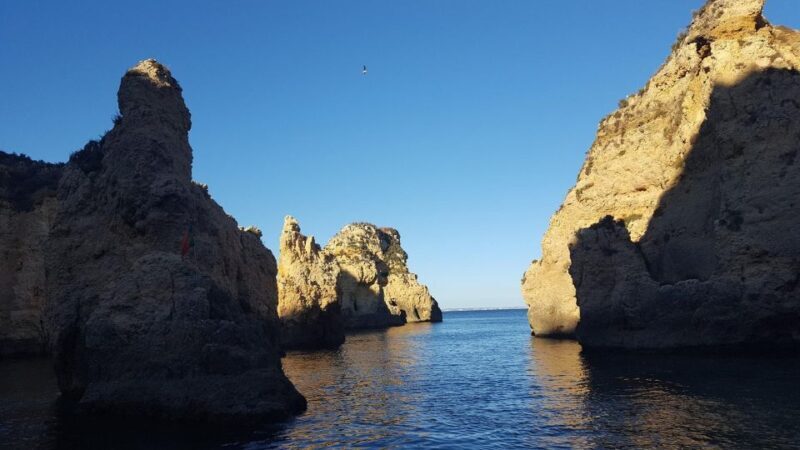 Dolphin Watching and Local Caves - Detailed Review of the Dolphin Watching and Local Caves Tour