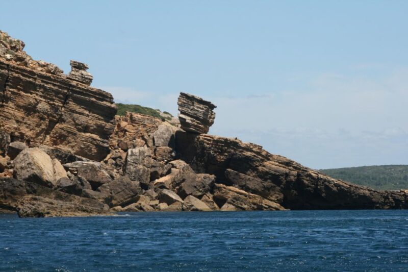 Dolphin Watching and Local Caves - Who Will Enjoy This Tour?