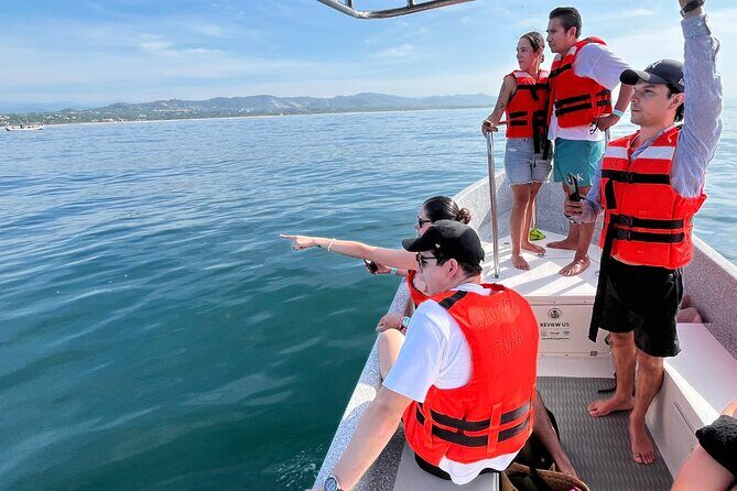 Dolphin Watching and Marine Life on the Coast of Oaxaca - The Bottom Line: Is It Worth It?