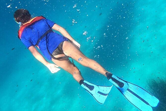 Dolphin Watching and Snorkeling in Figarolo in Sardinia - Final Thoughts: Who Will Love This Experience?