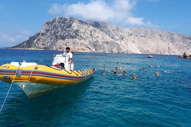 Dolphin Watching and Snorkeling in Figarolo in Sardinia - FAQs