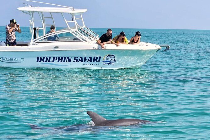 Dolphin Watching and Snorkeling Key West - The Practical Details: What You Need to Know