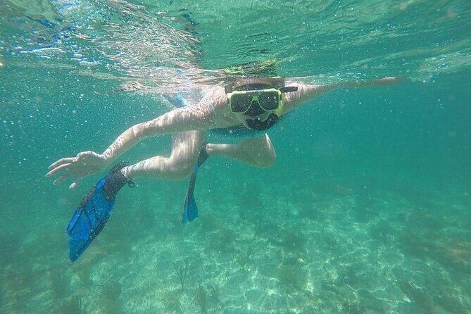 Dolphin Watching and Snorkeling Key West - Who Should Book This Tour?