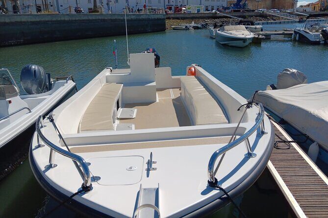 Dolphin watching and wildlife from Faro - A Closer Look at the Faro Wildlife & Dolphin Tour