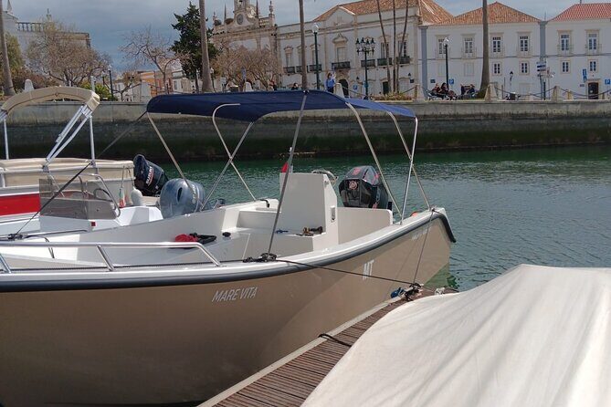 Dolphin watching and wildlife from Faro - FAQs