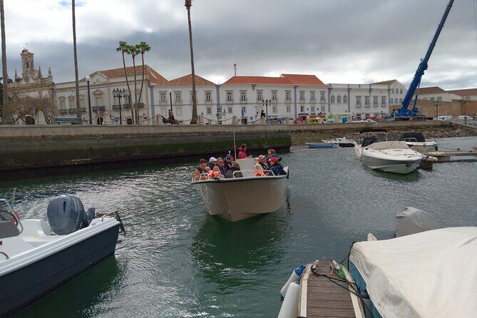 Dolphin watching and wildlife from Faro - Final Thoughts