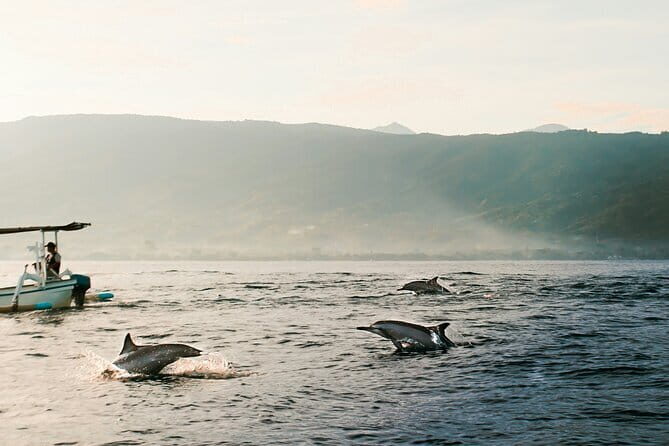 Dolphin Watching at Lovina Beach and North Bali Sightseeing Tour - Experience the Best of North Bali: Dolphin Watching and Scenic Highlights