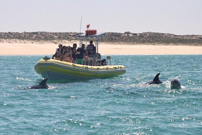 Dolphin Watching at the Arrabida (Lisbon region) - A Deep Dive into the Dolphin Watching Tour at Arrábida