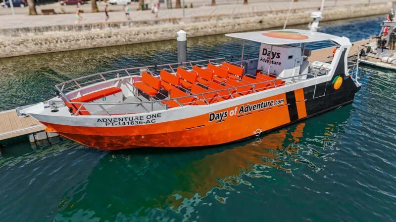 DOLPHIN WATCHING & BENAGIL CAVE TOUR FROM LAGOS - DUAL TRIP - An In-Depth Look at the Tour Experience