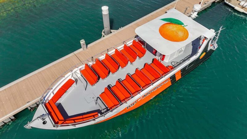 DOLPHIN WATCHING & BENAGIL CAVE TOUR FROM LAGOS - DUAL TRIP - Final Thoughts