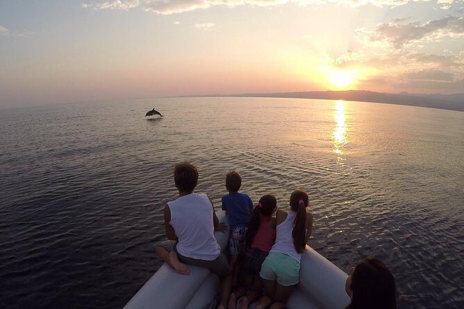 Dolphin Watching & Conservation - Dolphins in the Gulf of Catania - An In-Depth Look at the Experience