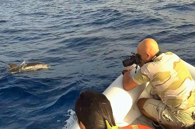 Dolphin Watching & Conservation - Dolphins in the Gulf of Catania - FAQ