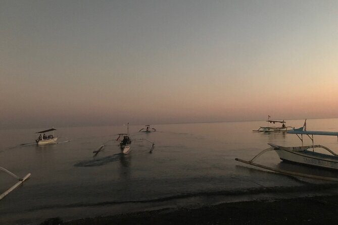 Dolphin Watching Experience at North Bali - In-Depth Look at the Experience