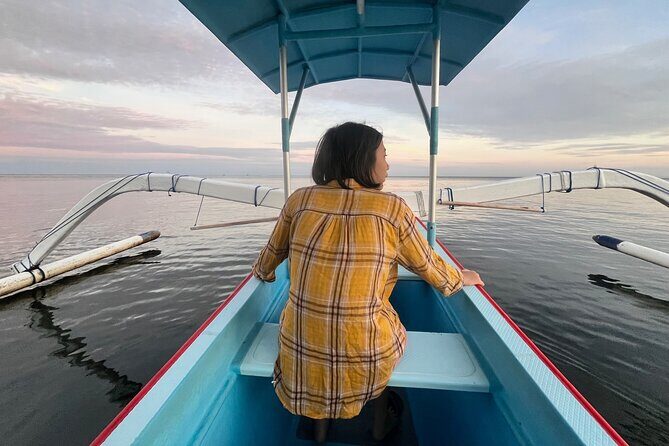 Dolphin Watching Experience at North Bali - Final Thoughts
