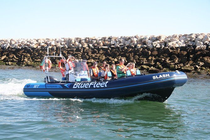 Dolphin Watching from Lagos with Marine Biologists - Authentic Encounters and Memorable Moments