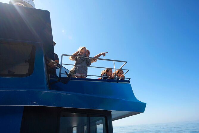 Dolphin Watching Half-Day Cruise from Lagos - A Closer Look at the Experience