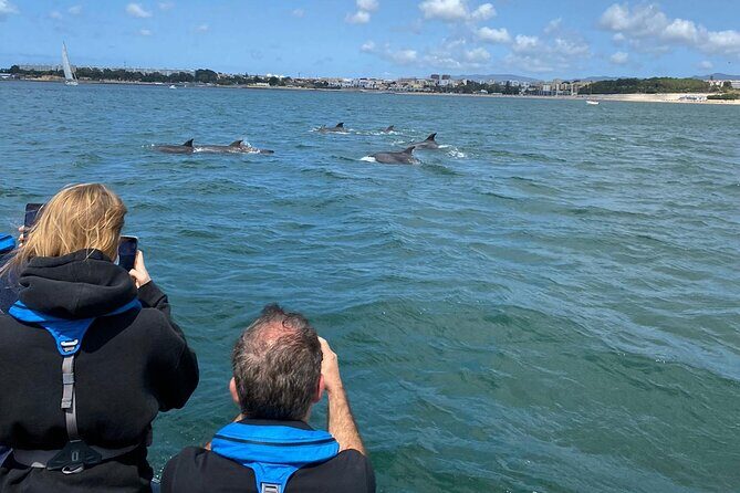 Dolphin Watching in Lisbon - A Deep Dive into the Lisbon Dolphin Watching Experience