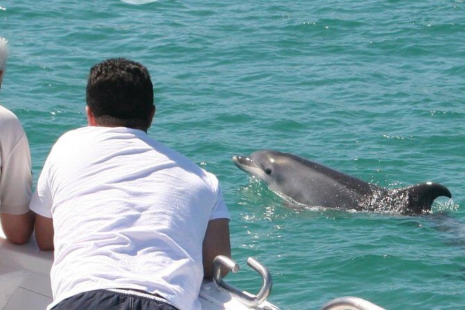 Dolphin Watching in the Wild - Half Day - Dolphin Watching in the Wild – A Balanced Look at this Lisbon Adventure