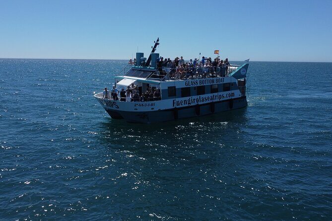 Dolphin watching on a Catamaran in Fuengirola - Key Points