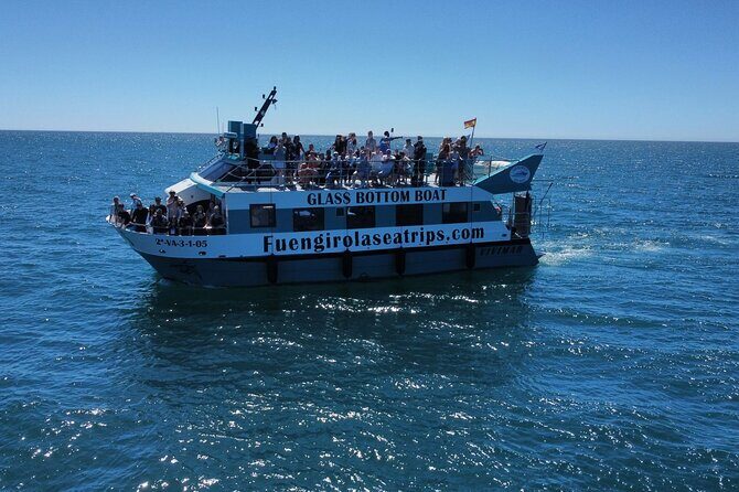 Dolphin watching on a Catamaran in Fuengirola - An In-Depth Look at the Dolphin Watching Catamaran Tour