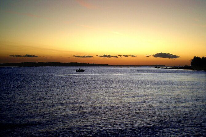 DOLPHIN WATCHING | Pula Boat - Final Thoughts