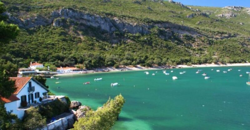 Dolphin Watching: Sesimbra / Arrábida Natural Park - Key Points