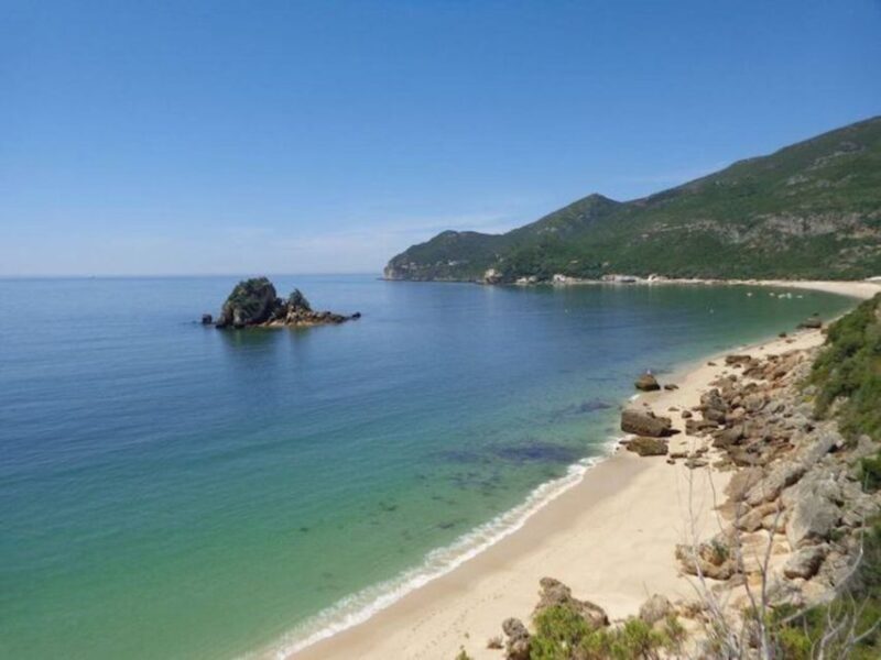 Dolphin Watching: Sesimbra / Arrábida Natural Park - Authentic Reviews That Speak Volumes