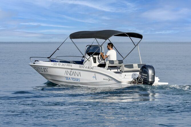 Dolphin Watching Sunset Speedboat Tour with Drinks in Rovinj - Pricing & Value