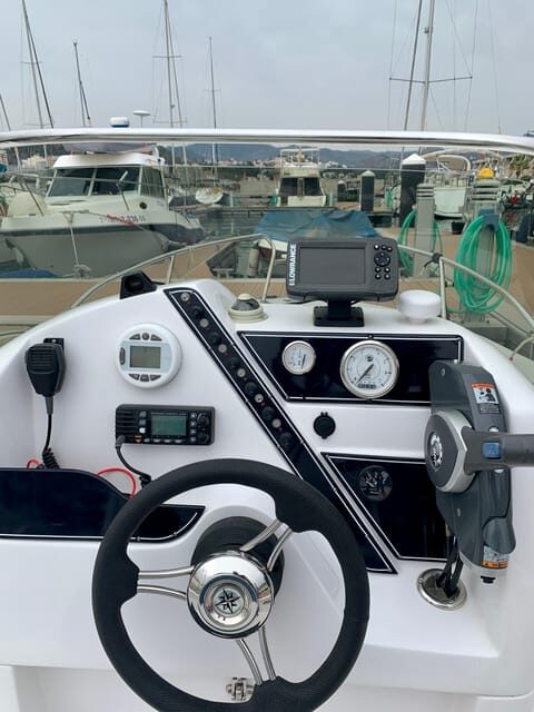 DOLPHIN WATCHING - An In-Depth Look at the Tour