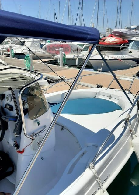 DOLPHIN WATCHING - Frequently Asked Questions