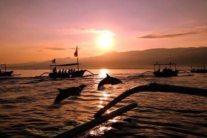 Dolphin Watching Tour, Swimming with Dolphins and Snorkeling - What Makes This Tour Stand Out?