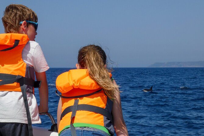 Dolphin Watching with Biologist in Arrábida Natural Park - Who Will Love This Tour?
