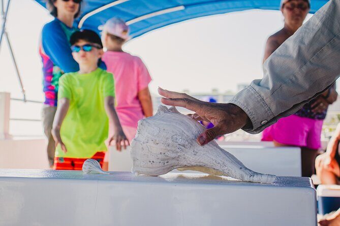 Dolphin Wildlife Cruise Fort Myers Beach - An In-Depth Look at the Fort Myers Beach Dolphin Wildlife Cruise