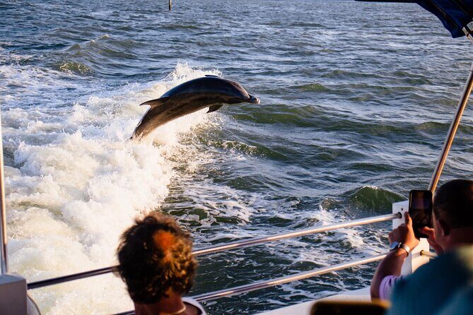 Dolphin Wildlife Cruise Fort Myers Beach - Final Thoughts