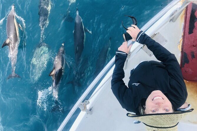 Dolphin & Wildlife Encounters - Key Points