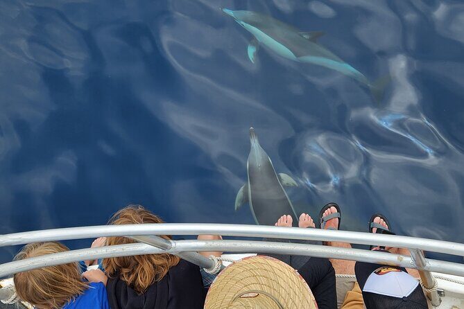 Dolphin & Wildlife Encounters - Who Will Love This Tour?