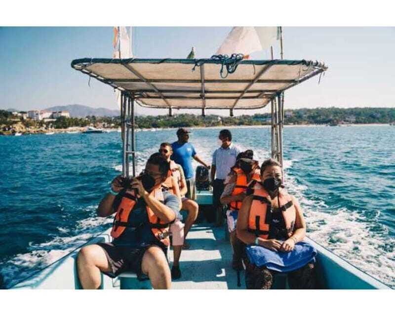 Dolphins and whales watching in Puerto Escondido. - What to Expect from the Tour