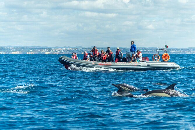 Dolphins & Caves on Rib Boat - Dolphins & Caves on Rib Boat: An Authentic Algarve Coastal Adventure