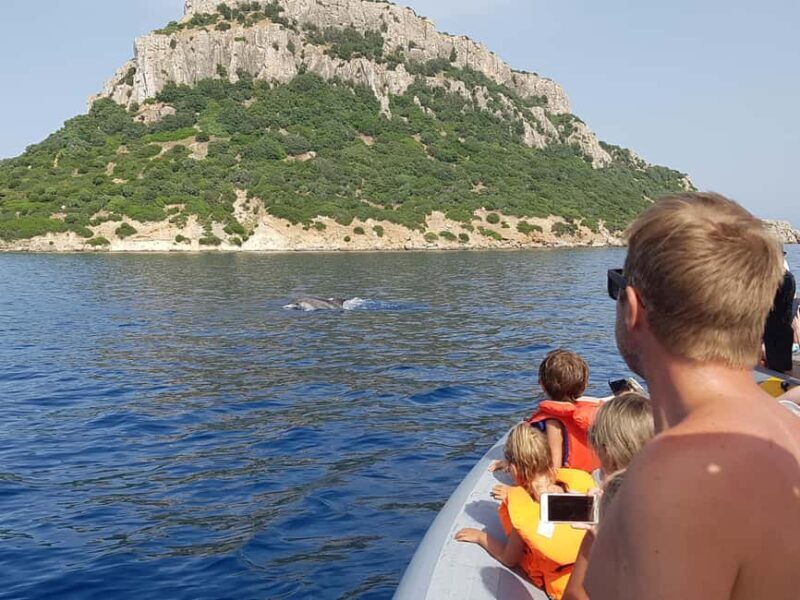 Dolphins: Dolphin Watching Tour and Capo Figari by Raft - What Makes This Tour Stand Out