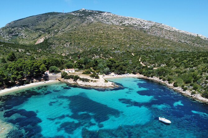 Dolphins Rib boat (up 6 people) Private - The Sum Up