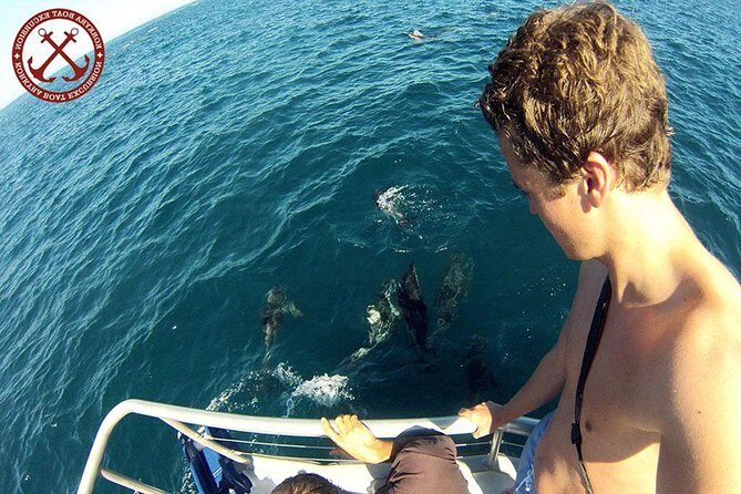 Dolphins Watching in the National Park Brijuni from Pula - A Detailed Look at the Dolphins Watching in Brijuni from Pula